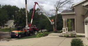 Larrys Tree Removal Service