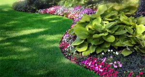 Landscaping in Grand Rapids