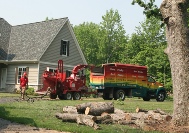 Larry's Tree Service Grand Rapids MI