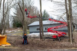 Trimming trees