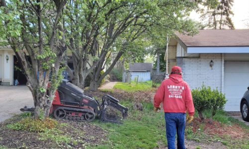 Larry's Lawn Service Shrub Removal
