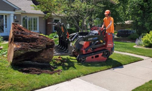 Larry's Lawn Service Large Stump Removal