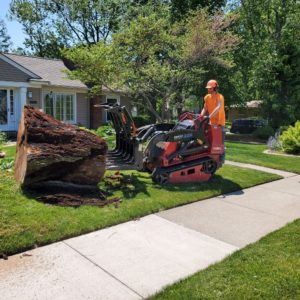 Larrys Lawn Service Large Stump Removal