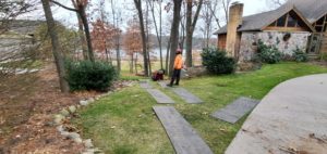 Larrys Lawn Service Tree Removal