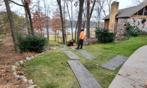 Larrys Lawn Service Tree Removal