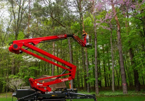 Larry's Tree Crane Service